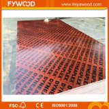 Good Quality Brown Film Faced Plywood (FYJ1504)