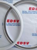 Spring Energized Seal