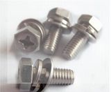 Hexagon Assembling Bolt