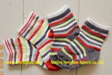 Socks (HYSYP112221)