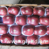 Top Quality for Exporting Fresh Huaniu Apple
