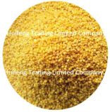 Shanxi Origin Yellow Millet for Selling