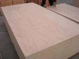 Commercial Plywood with Okoume Face/Back, Hot Selling!