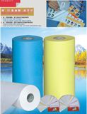 Release Paper for Self Adhesive Material