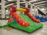 Mini Inflatable Dry Slide