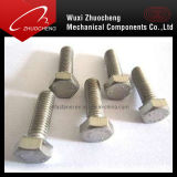 Stainless Steel Hex Bolts (DIN933)
