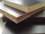 1220*2440mm Construction Film Faced Plywood