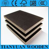 18mm Phenolic Film Faced Plywood / Shuttering Plywood