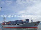Sea Freight for 20gp/40gp/40hq Container Shipping From USA/Canada to Shenzhen, Guangzhou and Hong Kong China