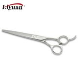 Hair Scissors (LY-BZ65)