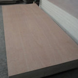 18mm Bintangor Plywood for Furniture