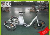 Japanese Quality Cargo Bike Electric Tricycle