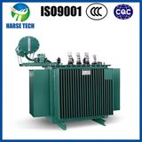 2013 Distribution Transformer