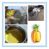 Food Machine: Stainless Steel Fruit Crushing Machinery