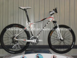 Good Quality Bicycle with Good Price (SH-AMTB026)