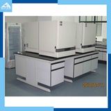 Laboratory Furniture/Working Bench