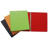 PP3 Ring File in Color/ Ring Binder (B3901)