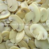 High Nutrition Value Canned Mushroom Slice for Instant Food