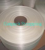 Polyester Woven Belt (VG-WS)