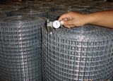 Welded Iron Wire Mesh
