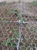 Rockfall Netting