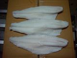 Frozen Seabass Fillet Skinon