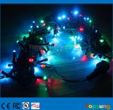 Rice Rgby LED String Light Fairy Outdoor Decoration