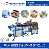 Automatic Plastic Egg Tray Thermoforming Machine Box Forming Machinery