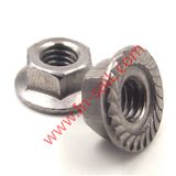 Shenzhen Manufacturer Hex Flange Nut