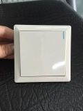 Europe Standard Big Button 1 Gang Wall Switch with Neon