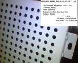 Perforated Aluminum/Aluminium Panel for Facade System & Cladding