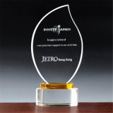Customized Crystal Trophy for Souvenir