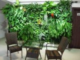 High Quality Artificial Plants and Flowers of Green Wall Gu-Mx-Green-Wall005