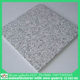 Flamed Polished Granite for Paving/Stone