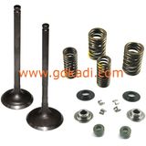 Cbf150 Motorcycle Valve Set Motorbike Engine Parts