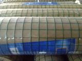 Reinforcing Welded Wire Mesh