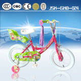 Mini BMX Bikes for Kids for Sale Jsk-Gkb-024
