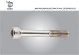 Hexagonal Socket Head Bolt (YD-HSHB01)