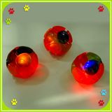 Flashing Bouncing Ball Toy