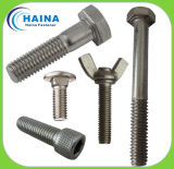 Stainless Steel Fastener Bolts