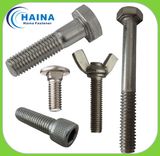 Stainless Steel Fastener Bolts