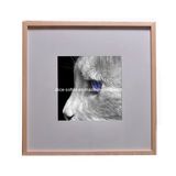 Photo Frame (22012)