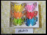 Decorated Butterfly
