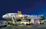 Air Cargo, Express, Air Freight Service to Quito Ecuador From China
