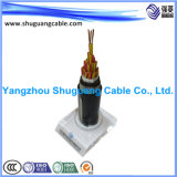 Cu Overall Screened/PE Insulated/PVC Sheathed/Computer/Instrument Cable