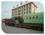 Single Drum Blind Coal Steam Boiler