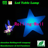 Garden Cube LED Light/LED Decoration/LED Star Lighting