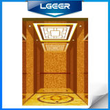 Qualified Passenger Elevator with Good Material