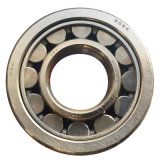 Sweden SKF High Quality Cylindical Roller Bearing (Nup304ec)
