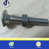 Stainless Steel 18-8/A2/A4 Carriage Bolt